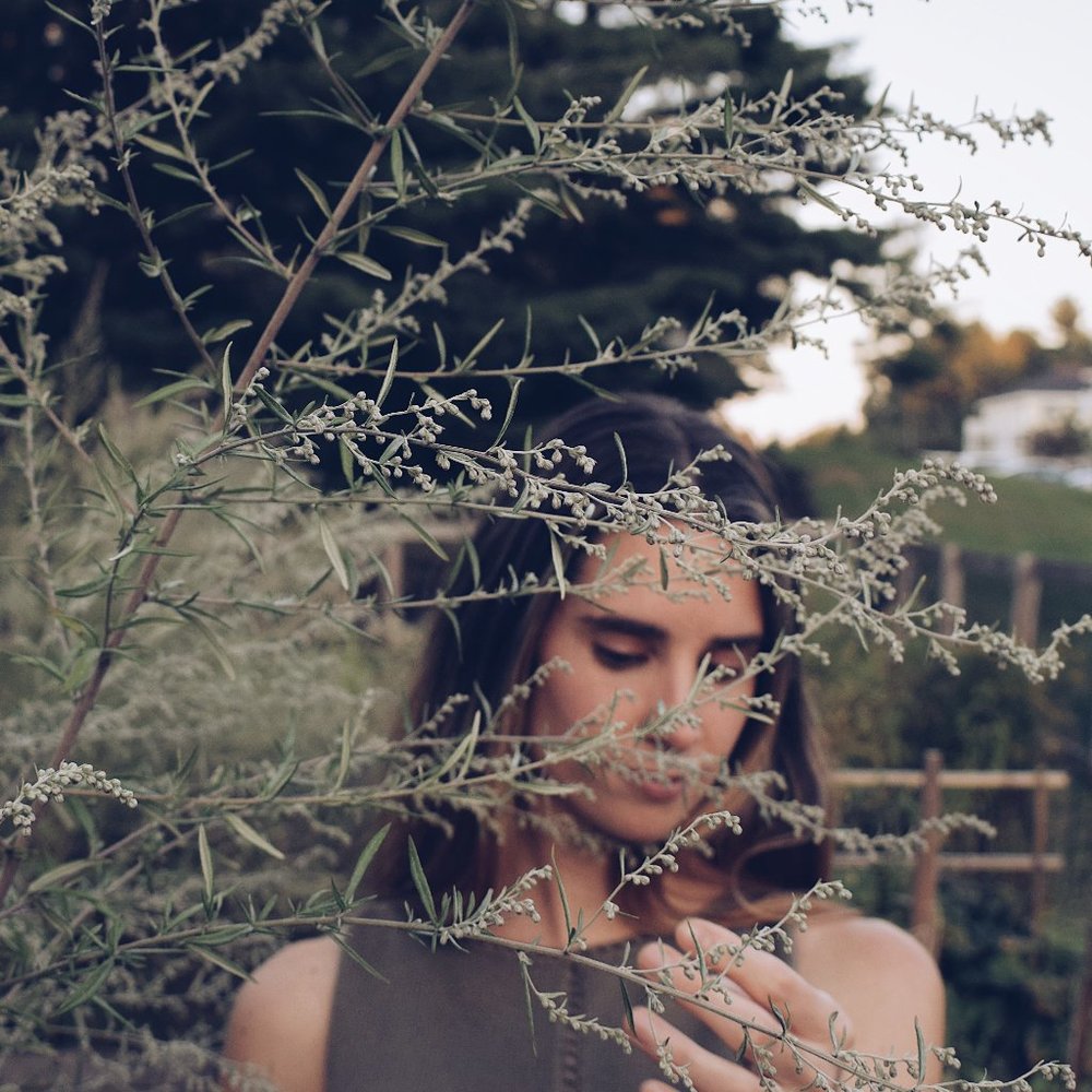 Meet your Posher, JM